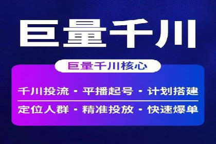 百度竞价入门必看：实操技巧与成功案例